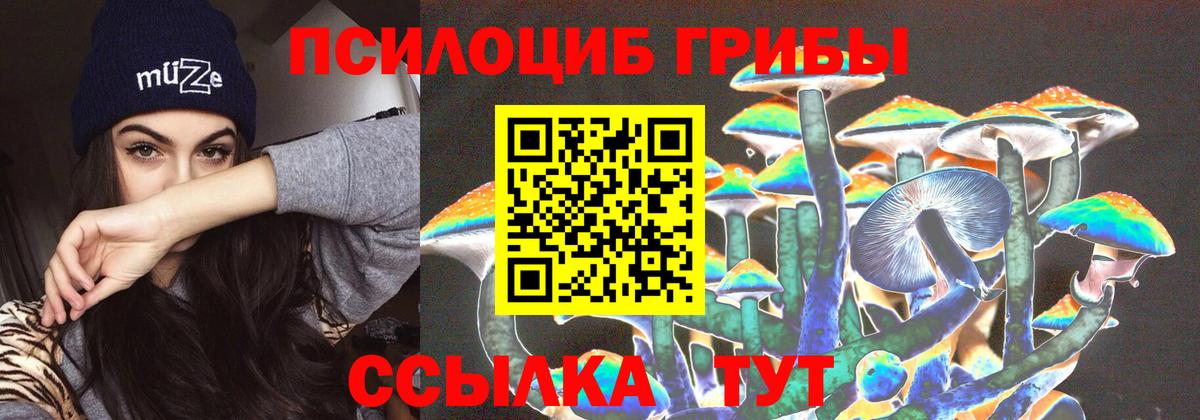Псилоцибиновые грибы мицелий Арсеньев